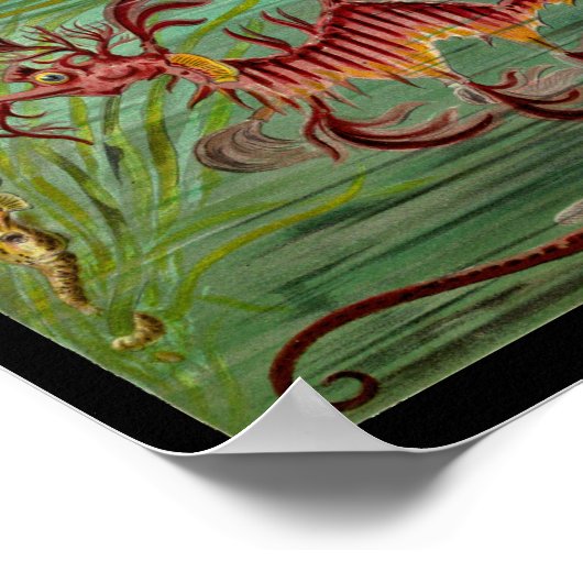 Seahorse Color Art Print (Hoek)