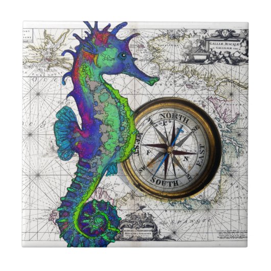 Seahorse Compass Collage Tegeltje (Voorkant)