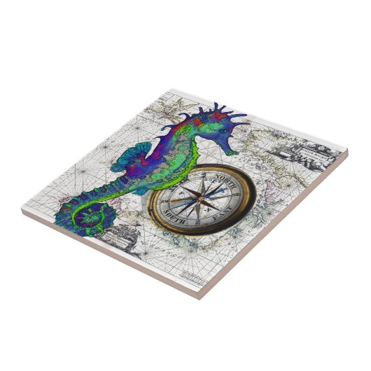Seahorse Compass Collage Tegeltje (Zijkant)