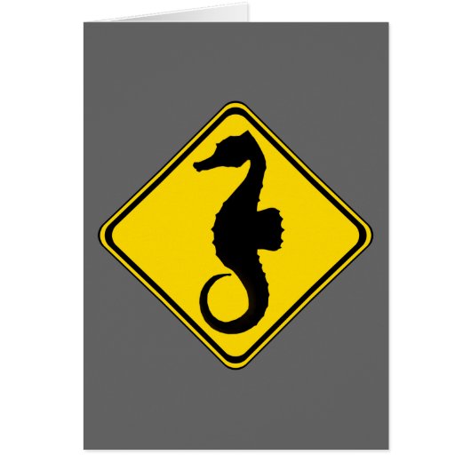 Seahorse Crossing! (Voorkant)