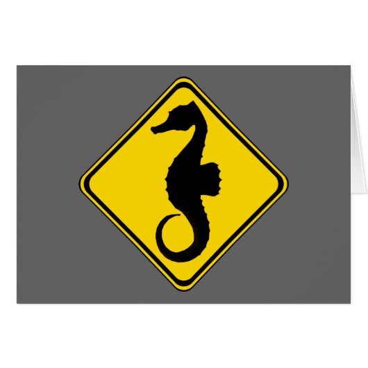 Seahorse Crossing! (Voorkant Horizontaal)