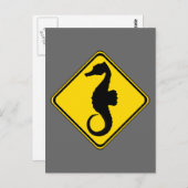 Seahorse Crossing! Briefkaart (Voorkant / Achterkant)