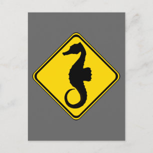 Seahorse Crossing! Briefkaart