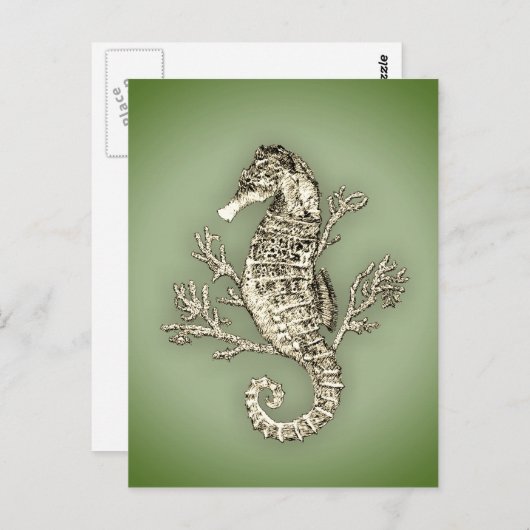 Seahorse en Coral on Green Background Briefkaart (Voorkant / Achterkant)