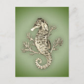 Seahorse en Coral on Green Background Briefkaart (Voorkant)
