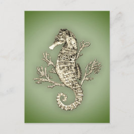 Seahorse en Coral on Green Background Briefkaart