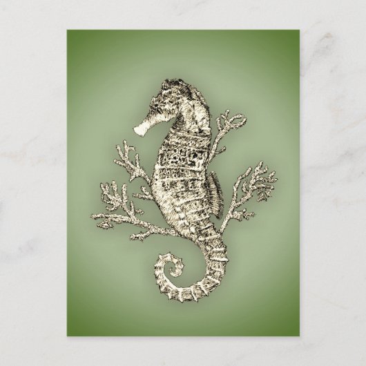 Seahorse en Coral on Green Background Briefkaart (Voorkant)