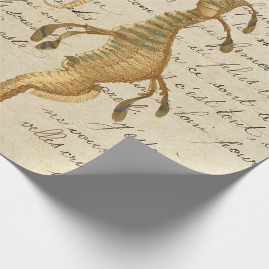 Seahorse en Script Cadeaupapier (Hoek)