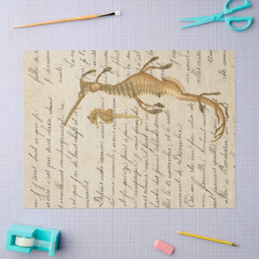 Seahorse en Script Decoupage Tissuepapier (Craft)