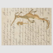 Seahorse en Script Decoupage Tissuepapier (Voorkant)