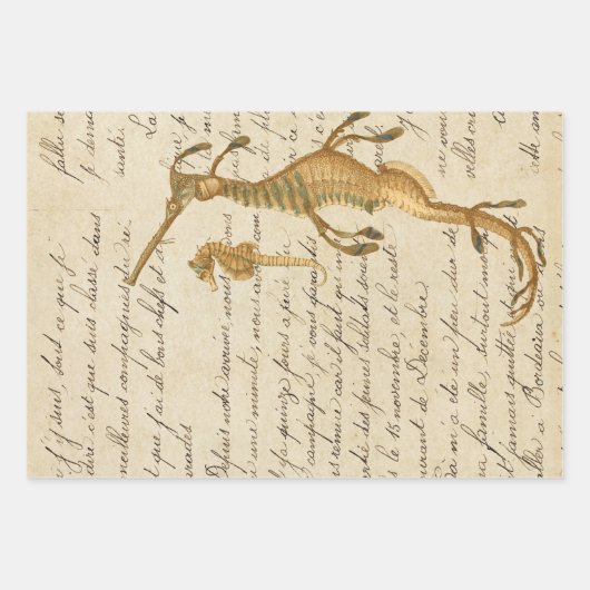 Seahorse en Script Inpakpapier Vel (Voorkant 3)