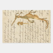 Seahorse en Script Inpakpapier Vel (Voorkant 2)