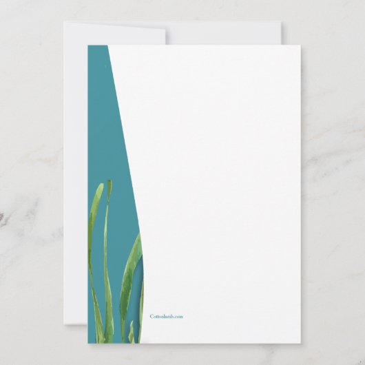 Seahorse en Seashells Kaart (Achterkant)