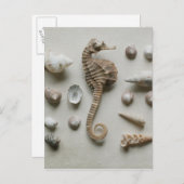 Seahorse en Shells Briefkaart (Voorkant / Achterkant)