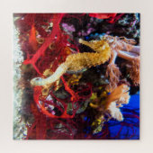 Seahorse Fantasy Legpuzzel (Horizontaal)