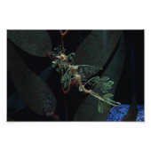 Seahorse Foto Afdruk (Voorkant)