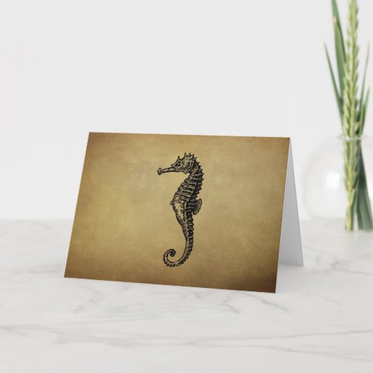 Seahorse Illustratie Kaart (Voorkant)