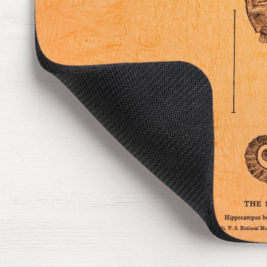  Seahorse Illustratie Muismat (Hoek)