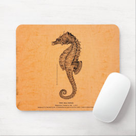  Seahorse Illustratie Muismat
