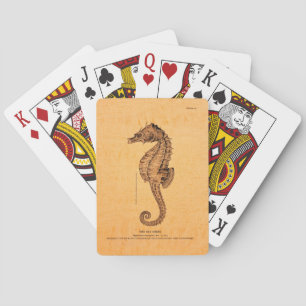 Seahorse Illustratie Pokerkaarten