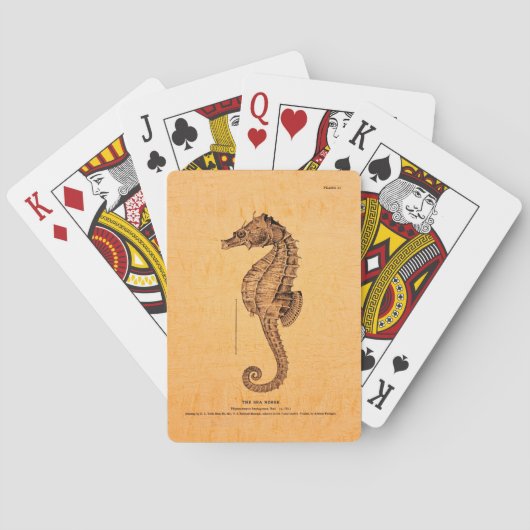 Seahorse Illustratie Pokerkaarten (Achterkant)