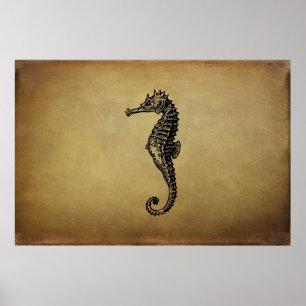 Seahorse Illustratie Poster
