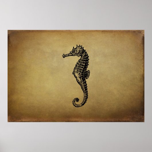  Seahorse Illustratie Poster (Voorkant)