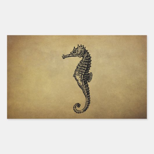  Seahorse Illustratie Rechthoekige Sticker (Voorkant)