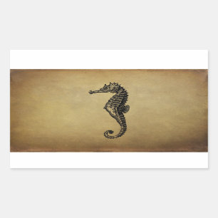  Seahorse Illustratie Rechthoekige Sticker