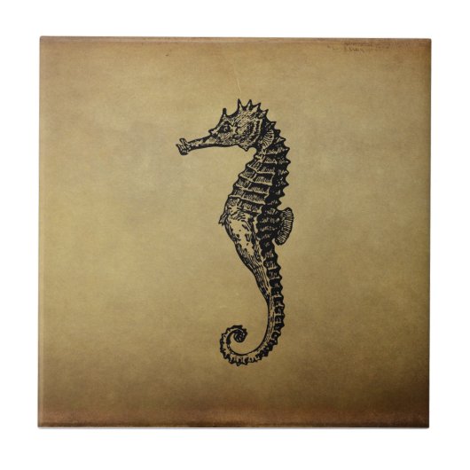  Seahorse Illustratie Tegeltje (Voorkant)