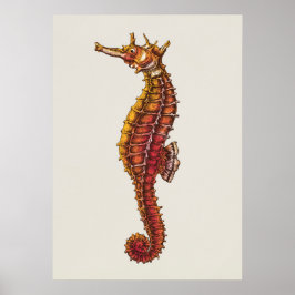 Seahorse Illustration Poster
