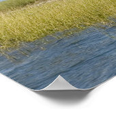 Seahorse key Bird Rookery Print (Hoek)