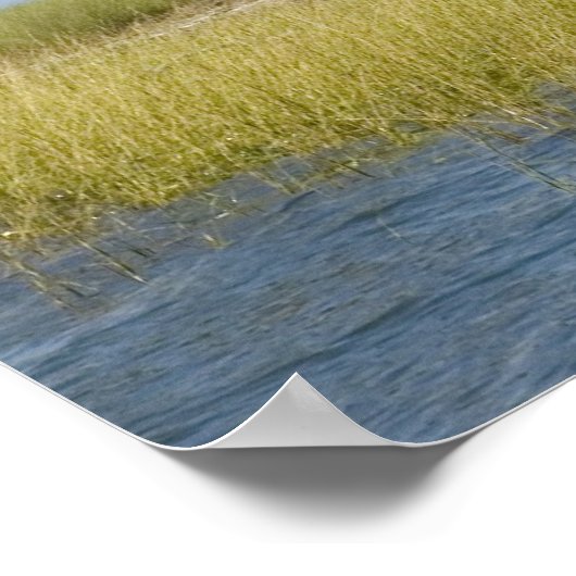 Seahorse key Bird Rookery Print (Hoek)