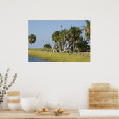 Seahorse key Bird Rookery Print (Keuken)