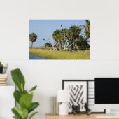 Seahorse key Bird Rookery Print (Thuiskantoor)