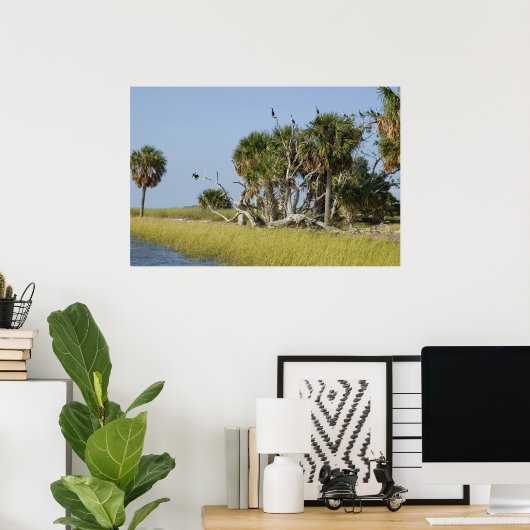 Seahorse key Bird Rookery Print (Thuiskantoor)