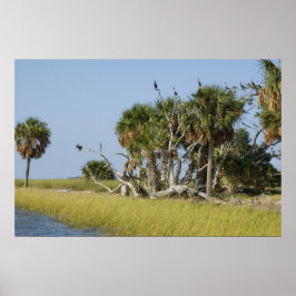 Seahorse key Bird Rookery Print