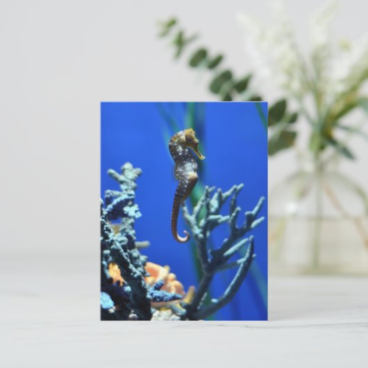 Seahorse Magic Briefkaart (Staand voorkant)