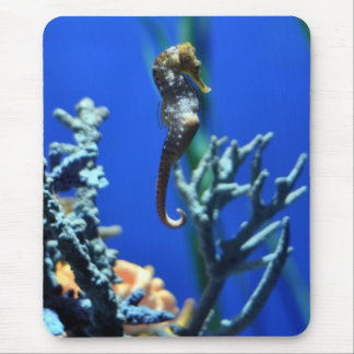 Seahorse Magic Muismat