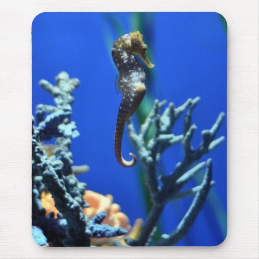 Seahorse Magic Muismat (Voorkant)