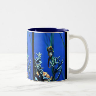 Seahorse Magic Tweekleurige Koffiemok