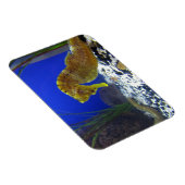 Seahorse Magneet (Rechterzijde)
