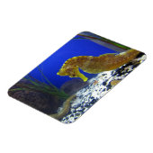 Seahorse Magneet (Linkerzijde)