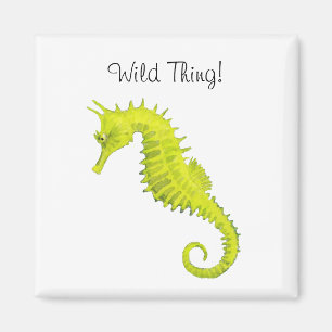 Seahorse Magneet