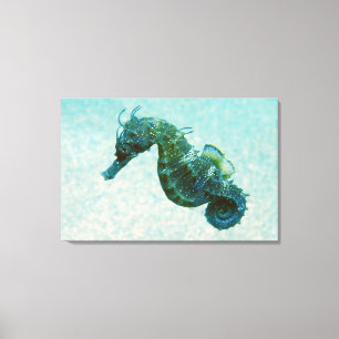 Seahorse met korte naam   Krim, Rusland Canvas Afdruk
