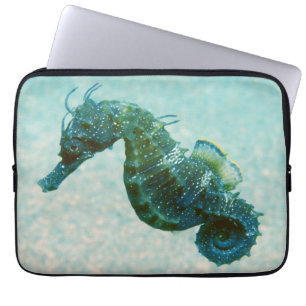 Seahorse met korte naam   Krim, Rusland Laptop Sleeve