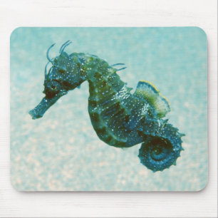 Seahorse met korte naam Krim, Rusland Muismat