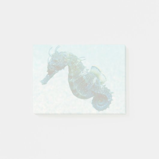 Seahorse met korte naam | Krim, Rusland Post-it® Notes (Voorkant)