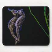 Seahorse Mousepad Muismat (Voorkant)