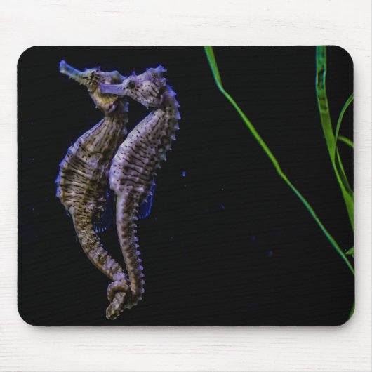 Seahorse Mousepad Muismat (Voorkant)